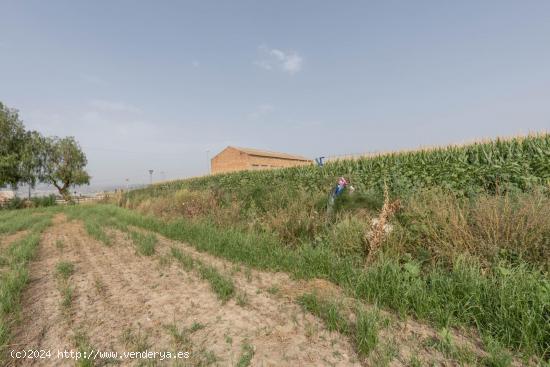 TERRENO AGRÍCOLA - GRANADA