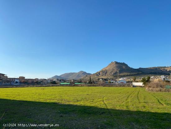 VENTA DE TERRENO RUSTICO URBANIZABLE  DEL TERMINO MUNICIPAL DE ATARFE EN EL CAMINO DE ALBOLOTE - GRA