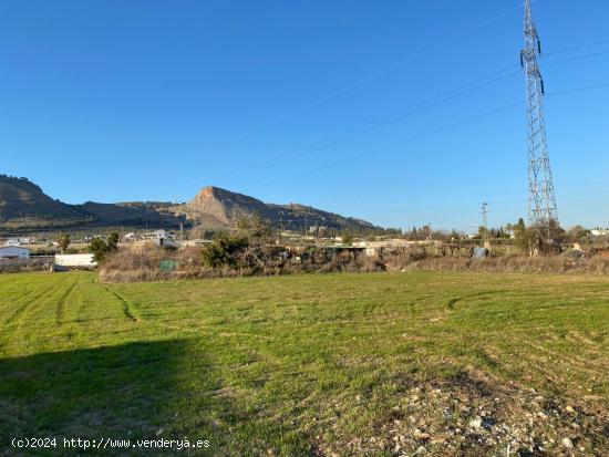 VENTA DE TERRENO RUSTICO URBANIZABLE  DEL TERMINO MUNICIPAL DE ATARFE EN EL CAMINO DE ALBOLOTE - GRA