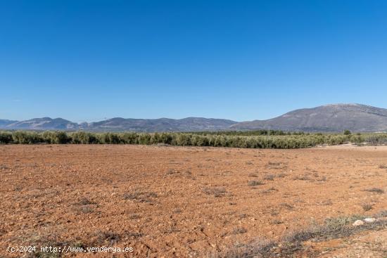 OPORTUNIDAD DE FINCA RUSTICA JUNTO PANTANO DE CUBILLAS - GRANADA