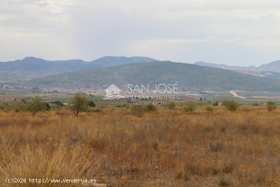 VENTA DE TERRENO EN JUMILLA - MURCIA