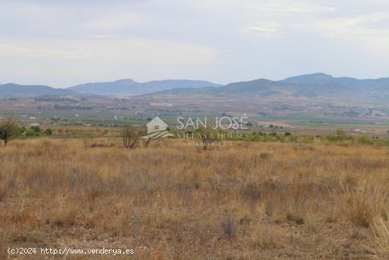 VENTA DE TERRENO EN JUMILLA - MURCIA