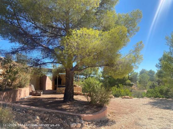  !!! CASA CUEVA CON 20.000 METROS DE MONTE. !!!! - ALICANTE 