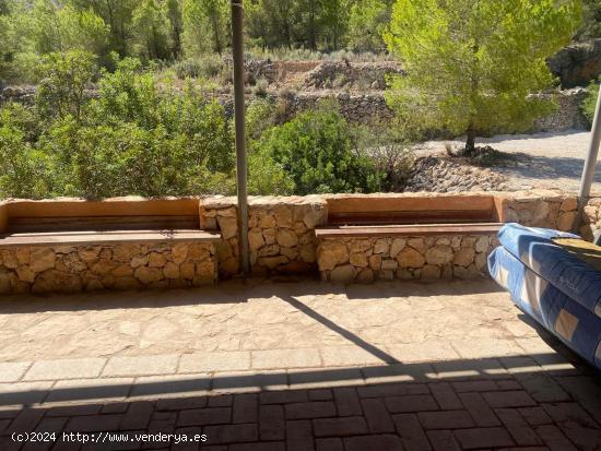 !!! CASA CUEVA CON 20.000 METROS DE MONTE. !!!! - ALICANTE