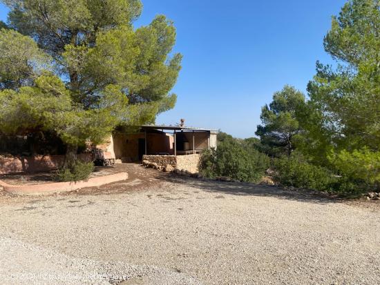 !!! CASA CUEVA CON 20.000 METROS DE MONTE. !!!! - ALICANTE