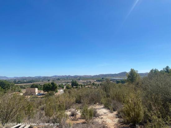 !!! CASA CUEVA CON 20.000 METROS DE MONTE. !!!! - ALICANTE