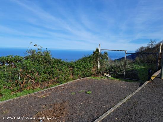 FINCA EN LA OROTAVA, AGUAMANSA - SANTA CRUZ DE TENERIFE