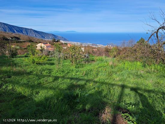 FINCA EN LA OROTAVA, AGUAMANSA - SANTA CRUZ DE TENERIFE