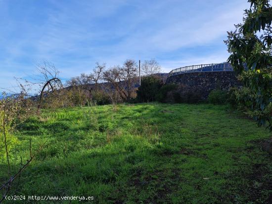 FINCA EN LA OROTAVA, AGUAMANSA - SANTA CRUZ DE TENERIFE