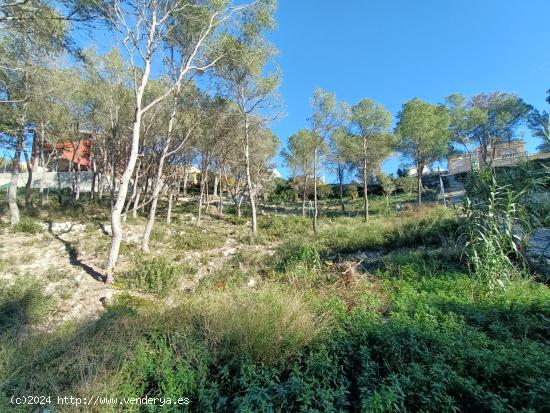 ¡En entorno natural y aislado! - BARCELONA