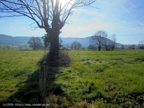  Terreno Rustico en Penagos - CANTABRIA 