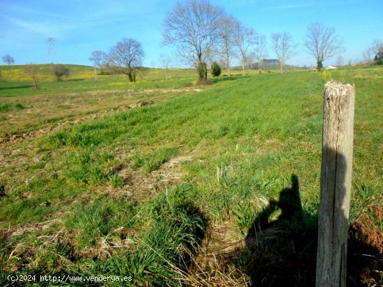 Terreno Rustico en Penagos - CANTABRIA