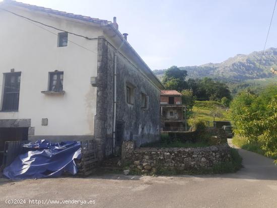 SE VENDE CASA CON TERRENO EN RIVA DE RUESGA - CANTABRIA