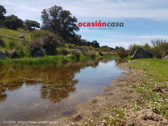  FINCA DE ENCINAS DE 8 FANEGAS - CORDOBA 