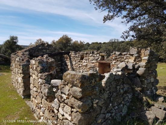 FINCA DE ENCINAS DE 8 FANEGAS - CORDOBA