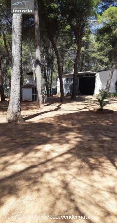 Grupo la Noria Vende Chalet de 6 dormitorios y piscina, zona urbanización los pinares del jucar. - 