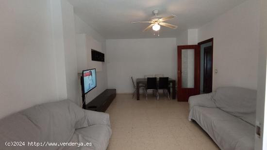 SE ALQUILA APARTAMENTO PLANTA BAJA CON VISTAS DEL MAR LOS ALCAZARES - MURCIA