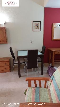 SE ALQUILA APARTAMENTO DE UN DORMITORIO EN ZONA JARDINILLOS - JAEN