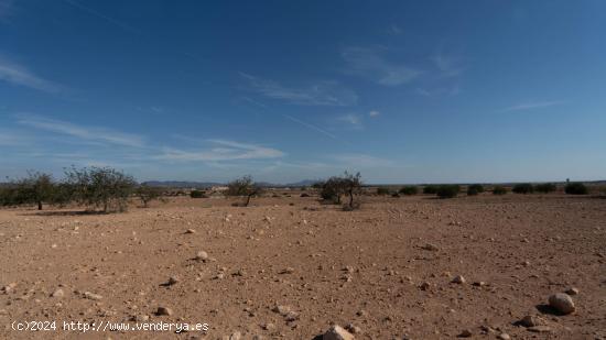 Se Vende Parcela de 30,000 m² en Corvera - MURCIA