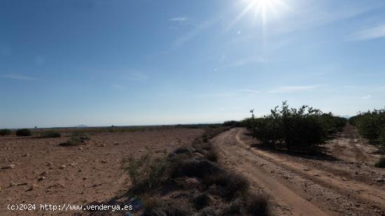 Se Vende Parcela de 30,000 m² en Corvera - MURCIA