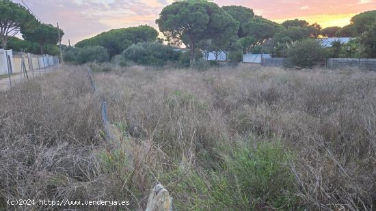 PRCELA SEGREGADA MUY CERCA DE PLAYA LA BARROSA - CADIZ