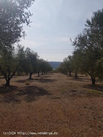 LA GALERA FINCA CON AGUA Y CASA 15m2 AMPLIABLES A 40 m2 - TARRAGONA