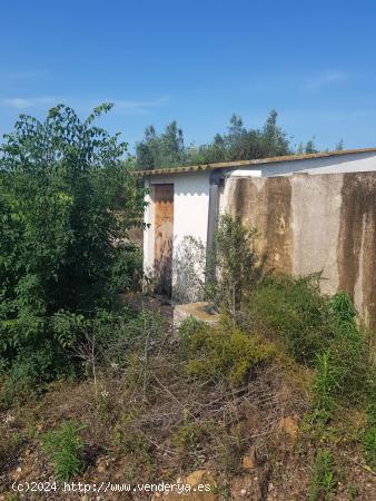 LA GALERA FINCA CON AGUA Y CASA 15m2 AMPLIABLES A 40 m2 - TARRAGONA