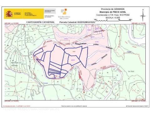 CONJUNTO DE PARCELAS EN PINOS GENIL!! - GRANADA