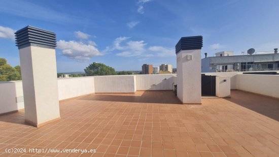 Apartamento en alquiler en Palma de Mallorca (Baleares)