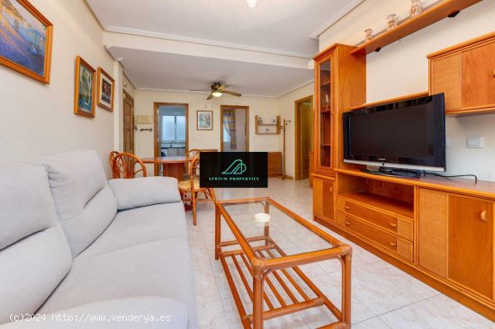 Apartamento en alquiler en Torrevieja (Alicante)