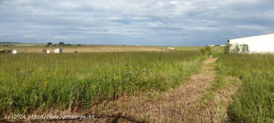 ¡Casa de 88m2 con 14000 m2 de terreno! - CACERES