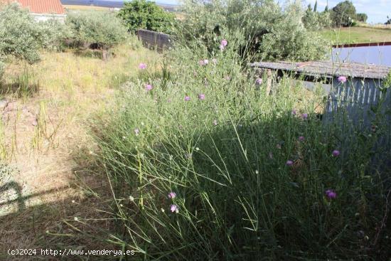 Terreno urbano para construir - CACERES