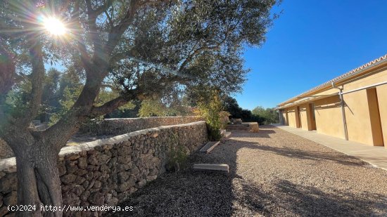 Villa en alquiler en Búger (Baleares)