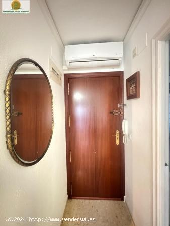 Apartamento con parking y piscina en alquiler anual Benidorm. - ALICANTE