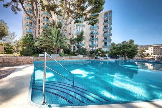 Apartamento en venta en Calvià (Baleares)