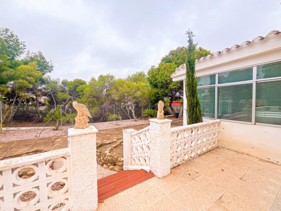 Villa en venta en Torrevieja (Alicante)