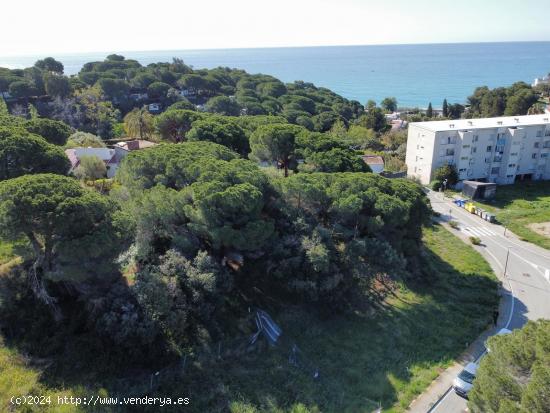 PARCELA EN SANT POL DE MAR - BARCELONA