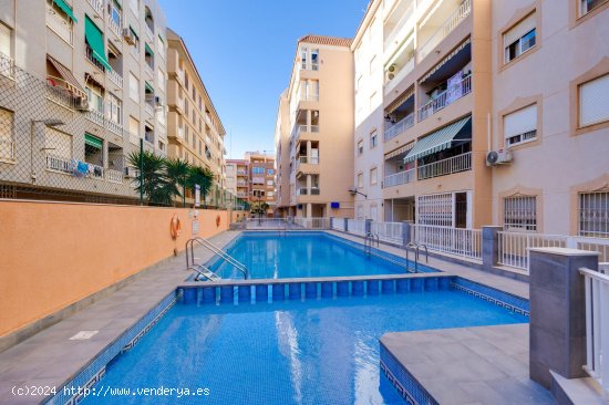  Apartamento en venta en Torrevieja (Alicante) 