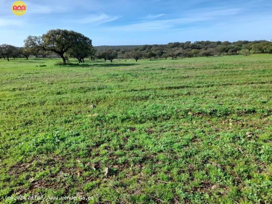 FINCA EN VILLANUEVA DE LOS CASTILLEJOS - HUELVA