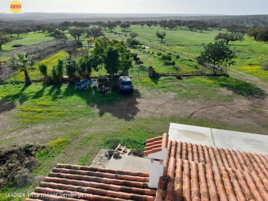 FINCA EN VILLANUEVA DE LOS CASTILLEJOS - HUELVA