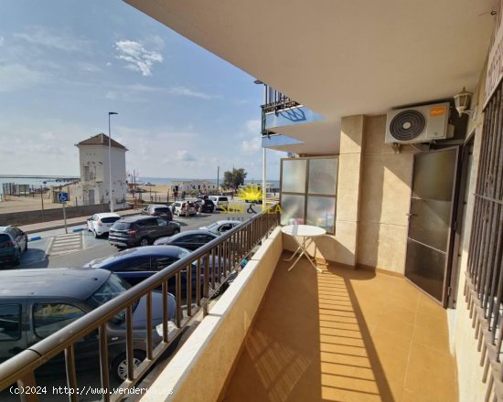 Apartamento en alquiler en San Pedro del Pinatar (Murcia)