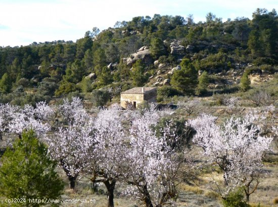 Finca en venta en Maella (Zaragoza)