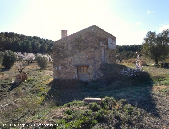 Finca en venta en Maella (Zaragoza)