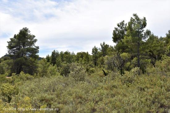 Se Vende en Valderrobres - TERUEL