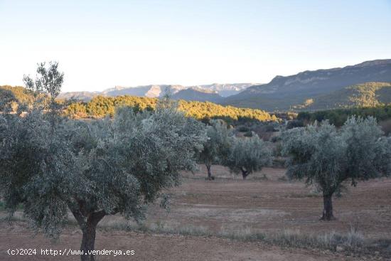 Se Vende en Valderrobres - TERUEL