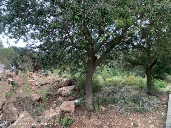 TERRENO URBANO EN VALLIRANA - EL LLEDONER - BARCELONA