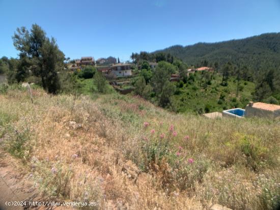 TERRENO URBANO EN VALLIRANA - URBANIZACIÓN EL LLEDONER - BARCELONA