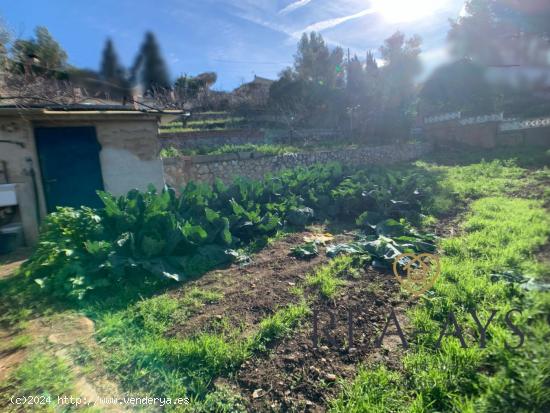 TERRENO URBANIZABLE EN OLESA DE BONESVALLS - BARCELONA