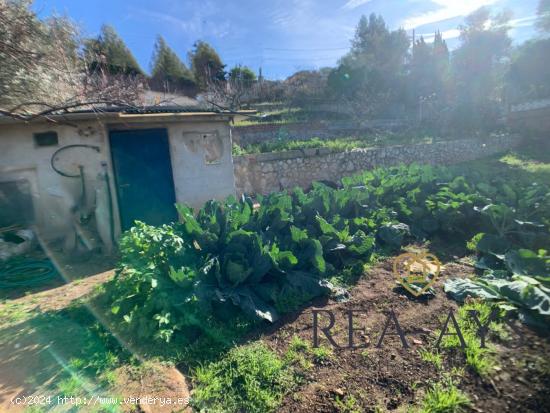 TERRENO URBANIZABLE EN OLESA DE BONESVALLS - BARCELONA