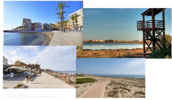 Piso en venta a estrenar en Torrevieja (Alicante)